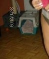 hotcdass's avatar