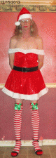 Christmas Dress