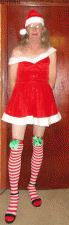 Christmas Dress