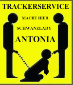 schwanzladyantonia